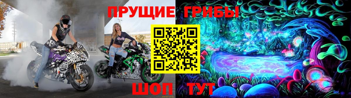 Псилоцибиновые грибы GOLDEN TEACHER  Галлюциногенные грибы прущие грибы  Вход с VPN  Гусев 
