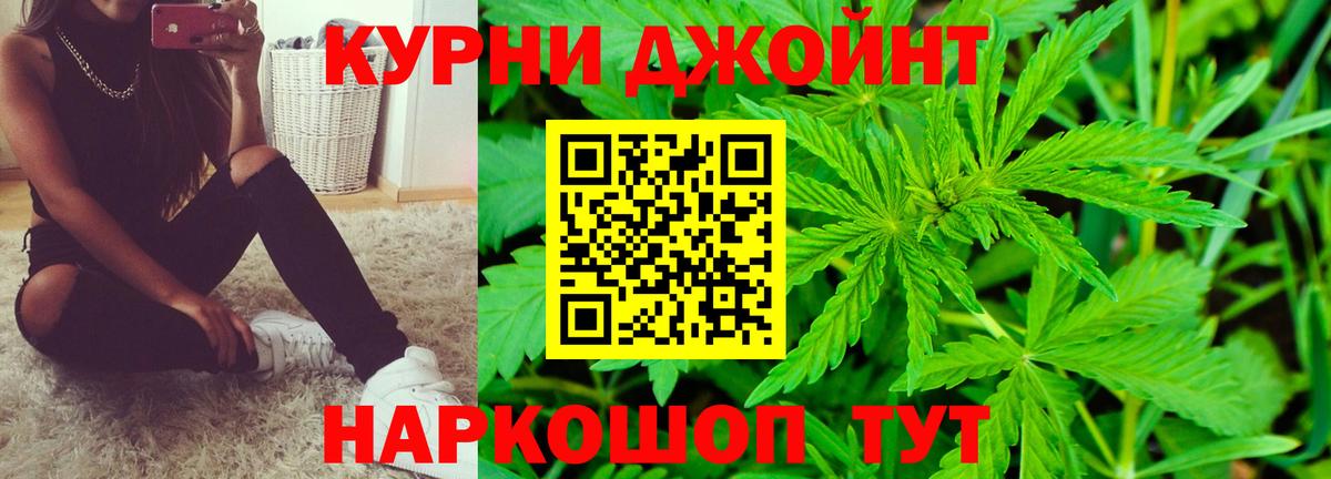 Гусев  МАРИХУАНА сатива  Бошки марихуана планчик  Канабис индика  Вход с VPN 